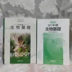 Item thumbnail for item 8f0d6d27-0424-41b4-ada6-1118eb052cba