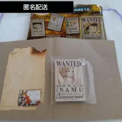 ワンピース　キャラマグネッツ　ナミ