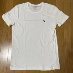 Abercrombie & Fitch ホワイト Tシャツ Sサイズ