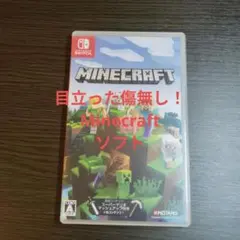 Minecraft Nintendo Switch ソフト