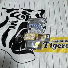大竹耕太郎選手　シークレットビジョンキーホルダー　阪神タイガース