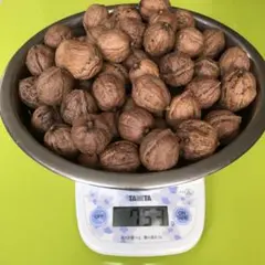 クルミ 730g以上❗️令和4年度 岩手県産 天然 和くるみ 胡桃 ナッツ