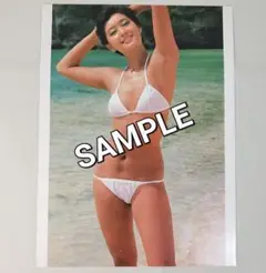 フラッシュバック FLASHBACK 夏目雅子/水着 6720円 ☆ 夏目雅子 写真集 FLASHBACK フラッシュバック 美女 美