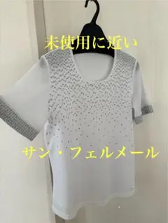 未使用に近い　サン・フェルメール
