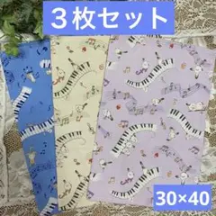 ３枚組★ランチョンマット★給食ナフキン★シマエナガ＆ネコ