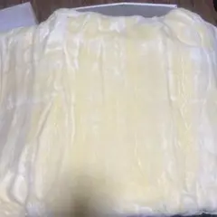 遠赤わた入りマイヤー 敷パット シングル