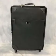 Kate Spade トラベルトランク 新品 未使用 2025年最新】kate spade new york レディース キャリーケースの
