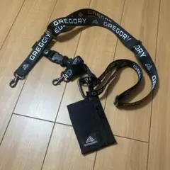 GREGORY グレゴリー　バッグ　アウトドア　キャンプ　ストリート
