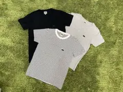 Lee 胸ポケットTシャツ　160cm 3枚セット