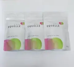 大塚製薬 エクエル パウチタイプ 120粒×3袋