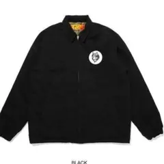 Item thumbnail for item 9166a994-d204-46ec-8b73-8c2f137808b1