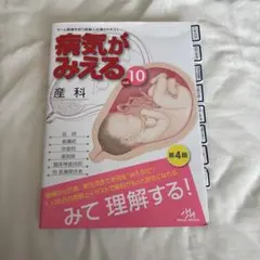 病気がみえる vol.10