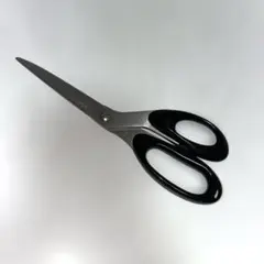 Item thumbnail for item 57ae4f53-9b97-40a0-a9d4-b7fbc8e22857