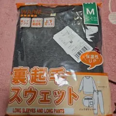 Item thumbnail for item 4d07ebf9-a8c2-4b66-a310-5b9ddd025a08