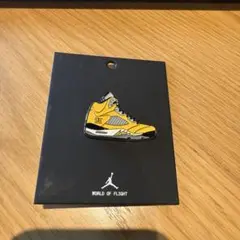 Jordan 5 Retro "Tokyo 23" チャーム