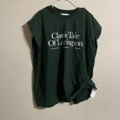 今季最新作　アメリカンホリック　ロゴノースリーブTシャツ
