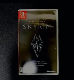 The Elder Scrolls V: Skyrim (Switch)