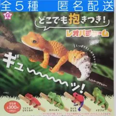 どこでも抱きつき! レオパチャーム 全5種 ガチャ
