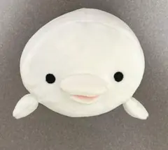 もちふわ！ こころすいぞくかん シロイルカ ぬいぐるみ みいるか