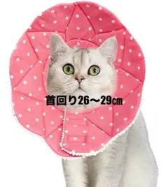 Item thumbnail for item 24690faa-6af2-48db-b0f4-f86a4fa0ad45