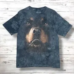 THE MOUNTAIN ザマウンテン Tシャツ デカロゴ 灰色 XL 0995