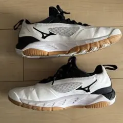 ミズノ　バレーボールシューズ　ウエーブルミナス3 26cm Amazon | Mizuno レディース ウェーブ ルミナスインドアコート