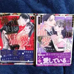 幼馴染みの(元)極道社長からの昼も夜も果てない猛愛に逆らえません