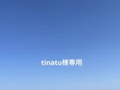 専用