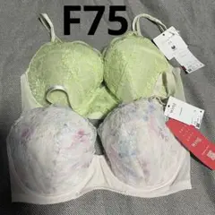 新品　ワコール　豪華レース　マッチミー・プッシュアップブラ2枚セット「F75」