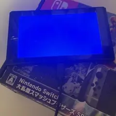 Nintendo Switch ブルースクリーン ジャンク品