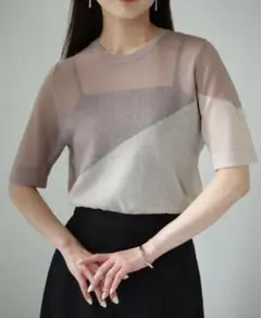 cheriella WEB限定 シアーインターシャ半袖 グレイッシュベージュ