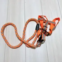 Item thumbnail for item 2f439a76-a21c-4dc2-b26e-aaff99d0b28d