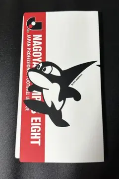 カルビー　カードホルダー　名古屋グランパス　Jリーグチップス