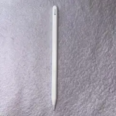 Apple Pencil 第2世代　【本体のみ】