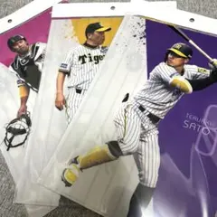 阪神タイガース 岡田彰布 佐藤輝明 梅野隆太郎 クリアファイル
