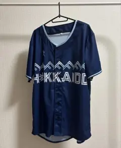 we loveHokkaido シリーズ　配布　ユニフォーム