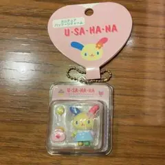サンリオ　パッケージコレクション　ウサハナ