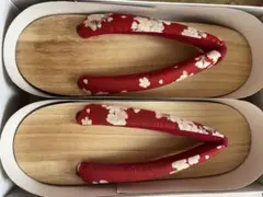 Item thumbnail for item 383a4524-c4e7-45d5-9b26-77605384d9c9