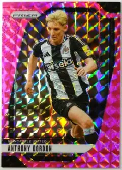 ANTHONY GORDON Pink MOSAIC PRIZM 24