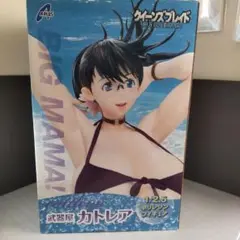 武器屋 カトレア 1/2.5 ポリレジン完成品フィギュア[A＋]　未開封品 31qWCs7Fu0L.jpg_BO30,255,255,