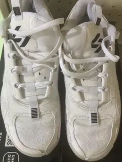 Item thumbnail for item 55a6508f-f110-4503-8d43-ddf82ba0ecdb