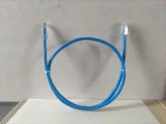 LANケーブル Cat6A 1m パンドウィット社製パーツ使用 在庫数3