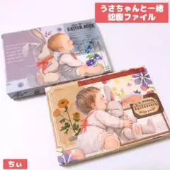 おすそ分け蛇腹ファイル 2点セット ヴィンテージ 子供 ウサギ コラージュ素材