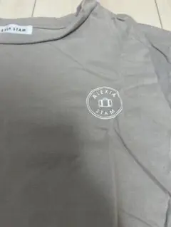 ALEXIASTAM Tシャツ