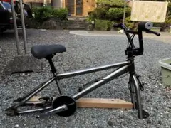 mongoose Importan
