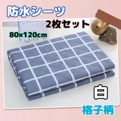 Item thumbnail for item ce9daa8d-1b1e-461f-8730-5911552d3fc1