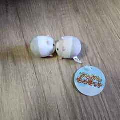 ぶるぶるモルモット