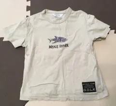 オフィシャルチーム　サメtシャツ　120