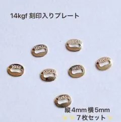 Item thumbnail for item 4423fd54-c5fa-4ac4-bd83-91dfda88c6e3