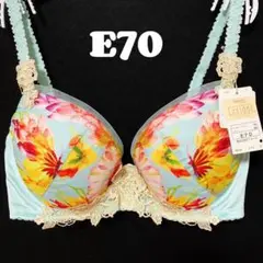 E70 ワコール レシアージュ ブラジャー